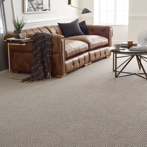 Anderson Tuftex Carpet