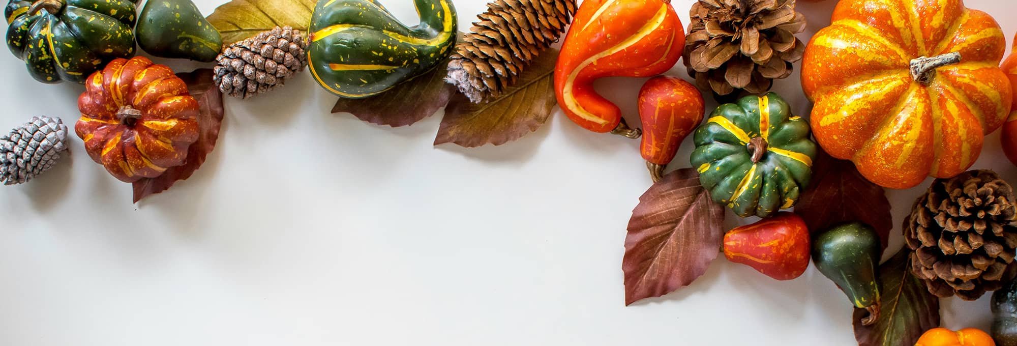 Happy Thanksgiving from Riemer Floors