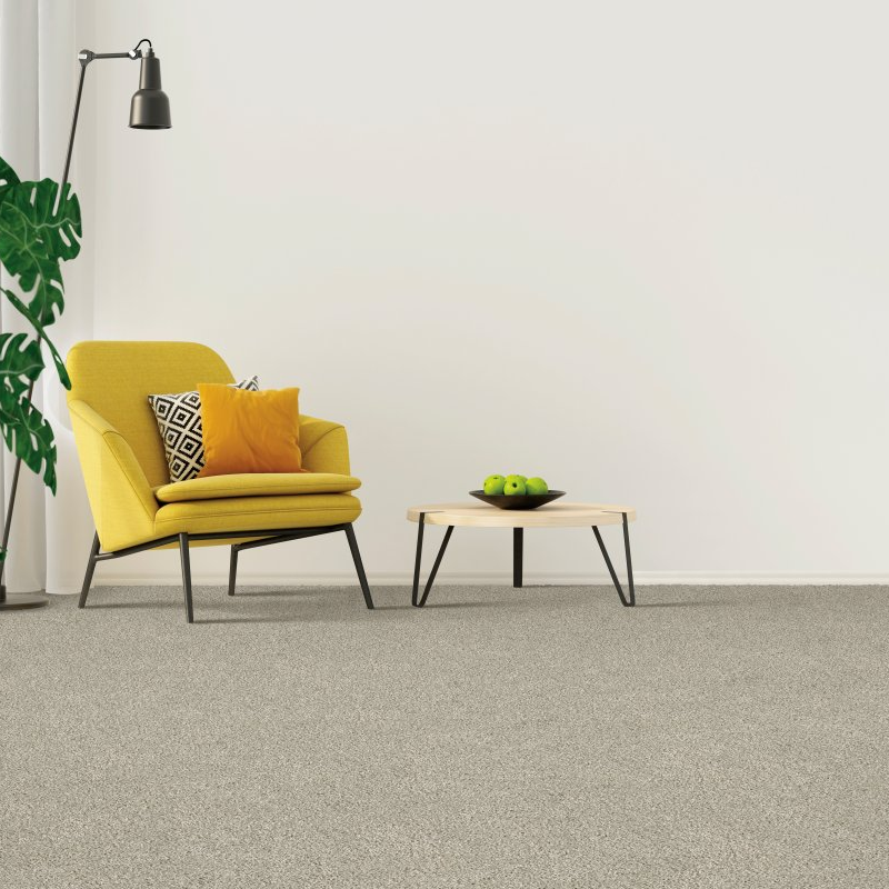 Riemer Floors providing stain-resistant pet proof carpet in in Bloomfield hills, MI - Coastal Harmony II - Dolphin